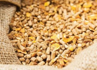 Achieving Feed Conversion Ratio 1:1 in Broiler: A myth or a reality