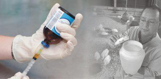 Landscapes of Responsible Use of Antibiotics in Food Animal Production