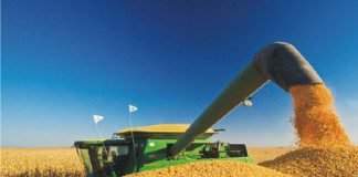 Viet Nam farmers advocates to shift to corn