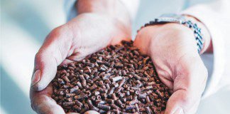 Natural gas protein-an alternative to fishmeal and soymeal