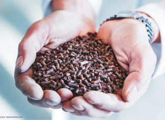 Natural gas protein-an alternative to fishmeal and soymeal