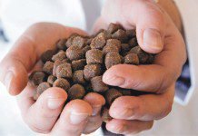 Extrusion-ideal technology for aqua feed