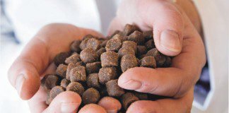 Extrusion-ideal technology for aqua feed