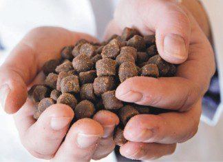 Extrusion-ideal technology for aqua feed