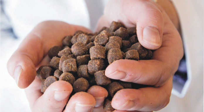 Extrusion-ideal technology for aqua feed