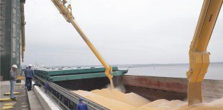 Increasing global production of oilseeds