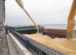 Increasing global production of oilseeds