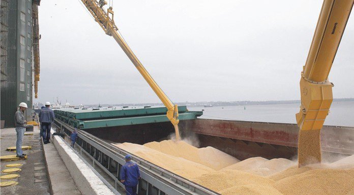Increasing global production of oilseeds
