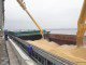 Increasing global production of oilseeds