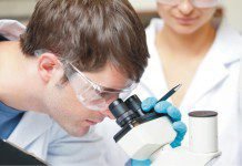 BIOMIN Mycotoxin Survey reveals high contamination risk in Asia