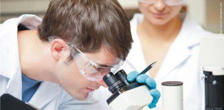 BIOMIN Mycotoxin Survey reveals high contamination risk in Asia