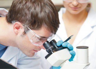 BIOMIN Mycotoxin Survey reveals high contamination risk in Asia