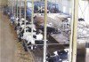New cattle feed plant by Amul in WB