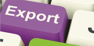 China cuts corn use forecast, noting resilient sorghum imports