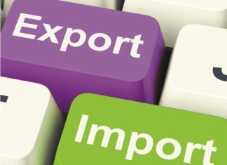 China cuts corn use forecast, noting resilient sorghum imports