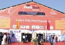 Feed Tech Expo 2017 (FTE17): Business platform for Feed Industry