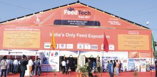Feed Tech Expo 2017 (FTE17): Business platform for Feed Industry