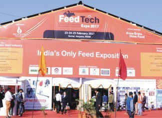 Feed Tech Expo 2017 (FTE17): Business platform for Feed Industry