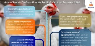 Global Animal Protein Positive Outlook: Rabobank