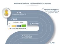 How does selenium benefit animal performance?