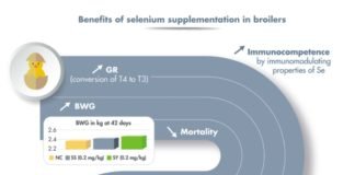 How does selenium benefit animal performance?
