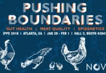 International Poultry Event Set to Showcase Leading-Edge Novus Research