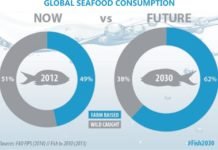Regional Consultation for Sustainable Growth of Aquaculture in Asia-Pacific