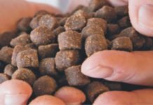 Research finds higher quality of floating fish feed pellets
