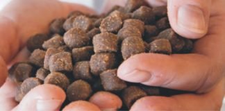 Research finds higher quality of floating fish feed pellets