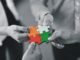 Collaborations to drive the global feed industry