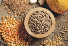 2018 outlook of commodity analysts on US Grains