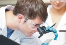 Mycotoxin Survey 2017: Threats present in feed