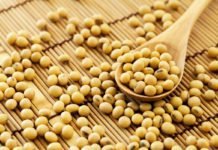 Protein plight: Brazil steals U.S. soybean share in China