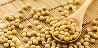 Protein plight: Brazil steals U.S. soybean share in China