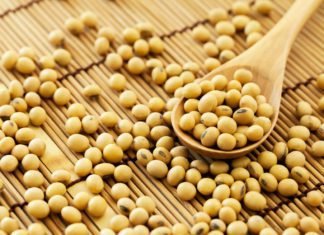 Protein plight: Brazil steals U.S. soybean share in China