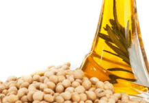 Oilmeal Exports Report