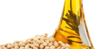 Oilmeal Exports Report