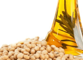 Oilmeal Exports Report