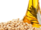 Oilmeal Exports Report