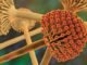 Managing Aflatoxin M1 levels in Milk Demands Coordinated and Integrated Efforts