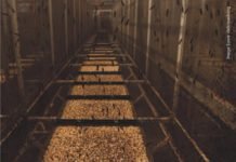 Insect ingredients for animal feed finding its way in USA, Canada and EU