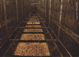 Insect ingredients for animal feed finding its way in USA, Canada and EU