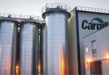 India’s feed market may be the 5th largest by 2020