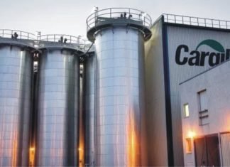 India’s feed market may be the 5th largest by 2020