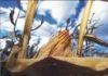 Corn prices in Indian and International Market