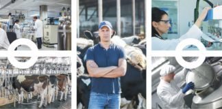 Ground-breaking reduction in greenhouse gas emissions with natural feed ingredient