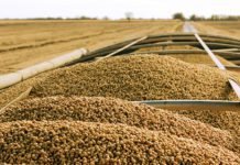 USDA update on US Soy restricted movement to China