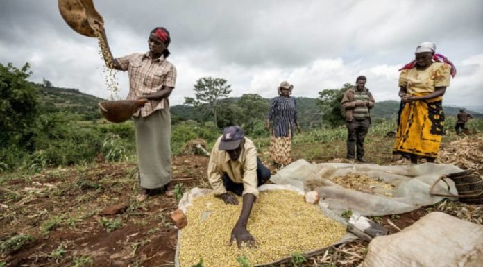 Feed raw material tax waiver makes feed costs cheaper in East Africa