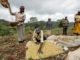 Feed raw material tax waiver makes feed costs cheaper in East Africa