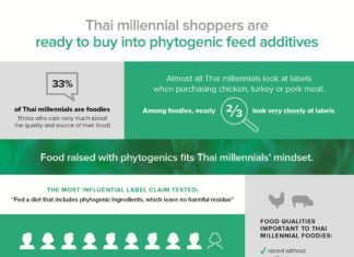 Survey suggests Thai Millennials would choose meat raised with phytogenic feed additives